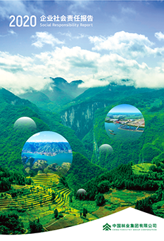 2020年企业社会报告