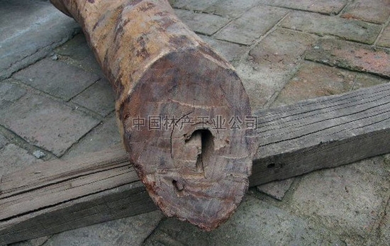 酸枝木（Dalbergia oliveri Gamble.）