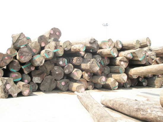 金车花梨（Xylia dolabriformis Benth）