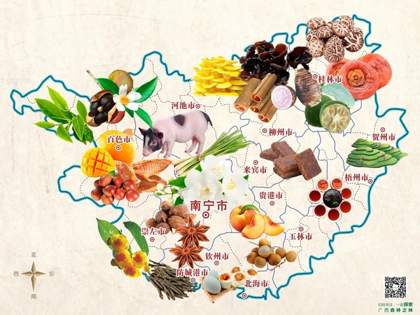 广西中林生态城投资有限公司篇 “中林山宝”的故事第一辑：香料之旅