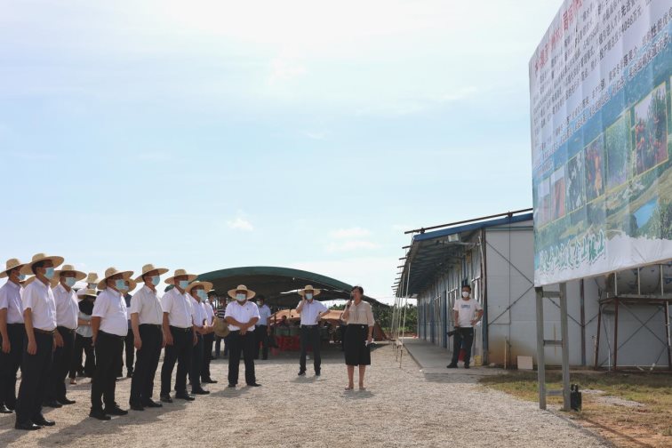 C:\Users\Administrator\Desktop\2H9A09741.JPG2H9A09741