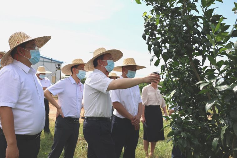 C:\Users\Administrator\Desktop\2H9A09841.JPG2H9A09841