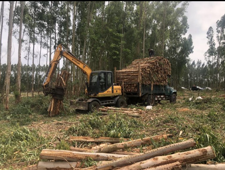 874008df86f5942df8d74b0f7edaec7