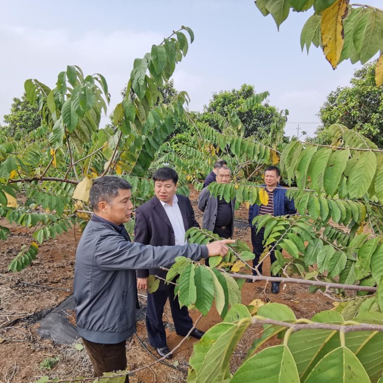 2fb083330850ae397b1ff5ecb8ec0e8