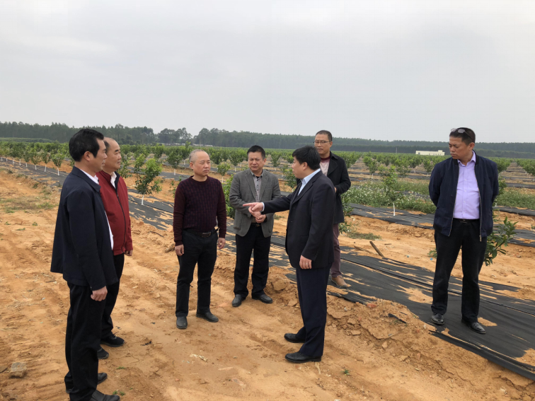 72840b7d574842e948306e073a1d8fe