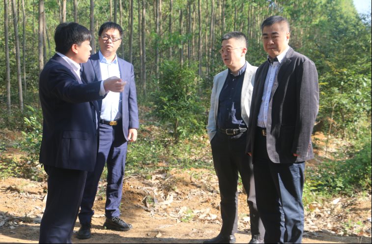 b90c8a956a3b306dd0265bcd3917435