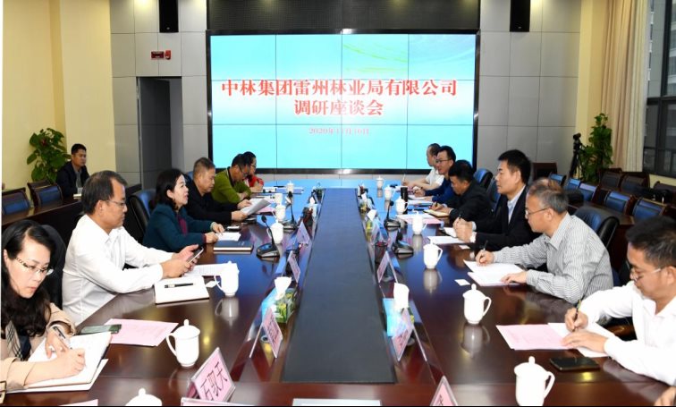 5.高峰林场座谈