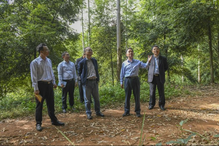 3.国储林实地调研