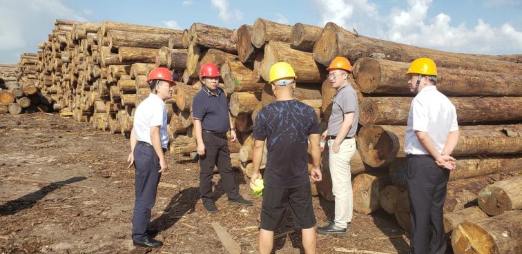 c1a60739f4cd547cf1b14af0e540316