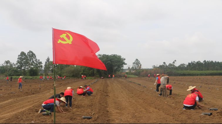 10b537bfcde23d7479da43277cc984d