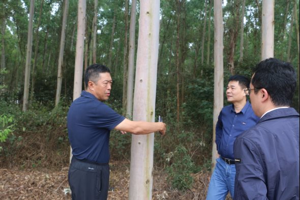 微信图片_201912201610402