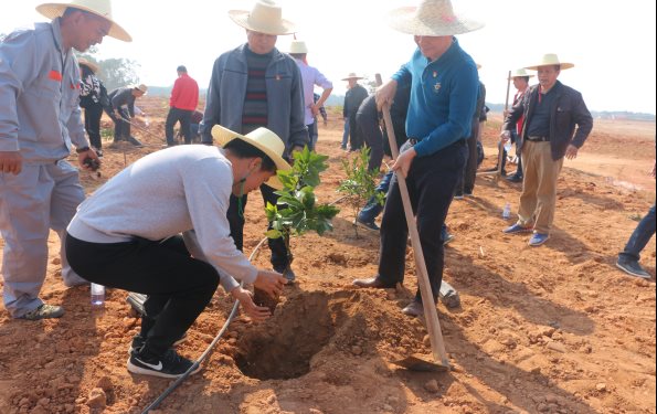 088e53c457f029a73ab7851a650c102