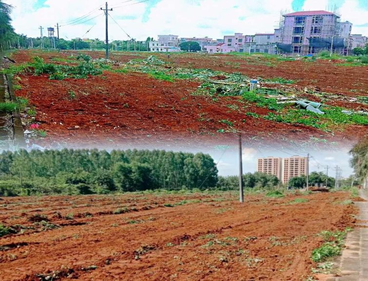 7b76e62068e93256f85c33897692170