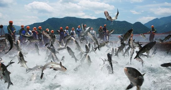 afa063fe22d45413a4e6a2eaf5f0edc