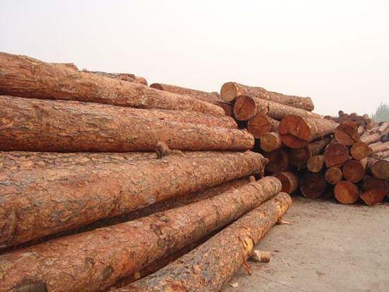 _cgi-bin_mmwebwx-bin_webwxgetmsgimg__&MsgID=8621914118776487311&skey=@crypt_ea42ffe9_b6c050f8bb52dad5df4b4aa5bee4ea8a&mmweb_appid=wx_webfilehelper