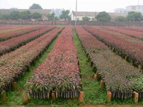 _cgi-bin_mmwebwx-bin_webwxgetmsgimg__&MsgID=4759319061608301969&skey=@crypt_ea42ffe9_b6c050f8bb52dad5df4b4aa5bee4ea8a&mmweb_appid=wx_webfilehelper