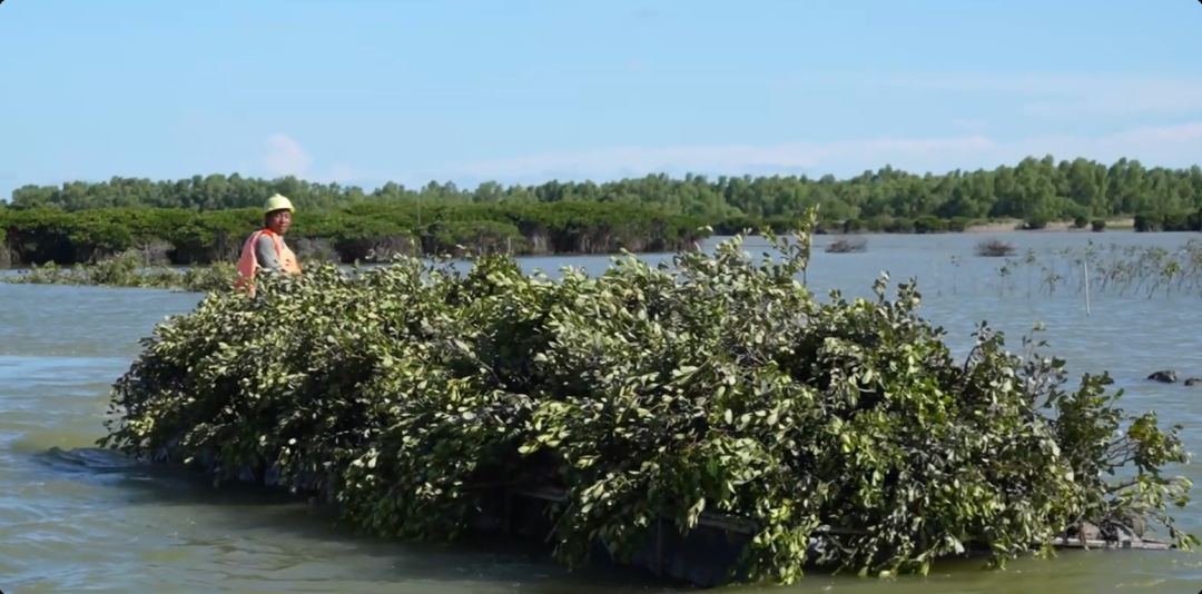 62c9f519af466e3090b72f5c9530b12c.png 62c9f519af466e3090b72f5c9530b12c.png