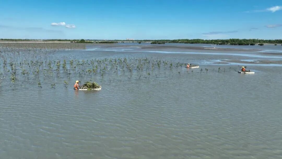 395b372d29cf0e5e6bedf34a77dfb0ba.jpg 395b372d29cf0e5e6bedf34a77dfb0ba.jpg