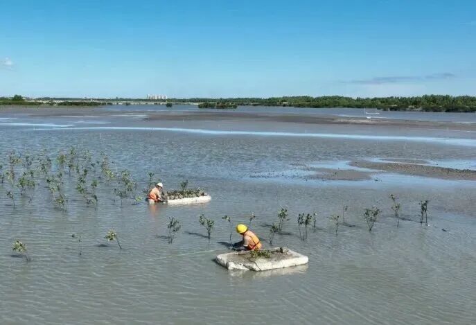 02ba3151df91aaeea9dfdf9199c583b3.jpg 02ba3151df91aaeea9dfdf9199c583b3.jpg