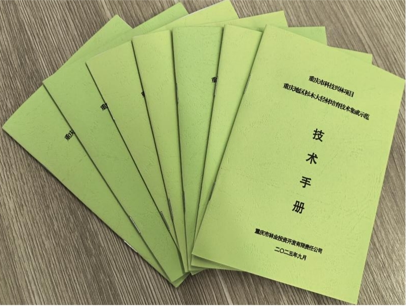 重庆杉木大径材培育技术集成示范项目顺利通过验收