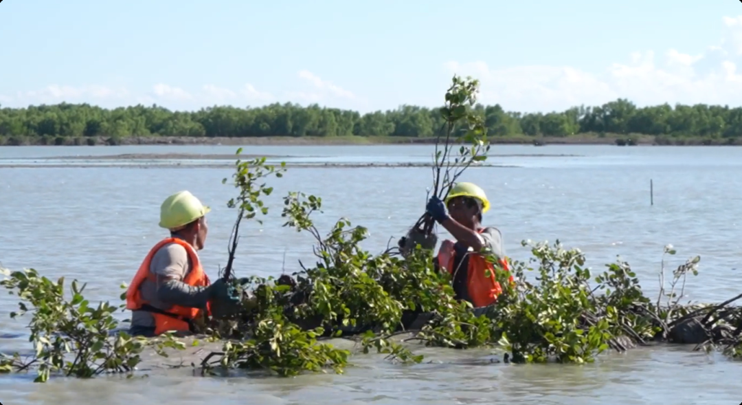 4511091471846f6aa046767baac9e299.png 4511091471846f6aa046767baac9e299.png