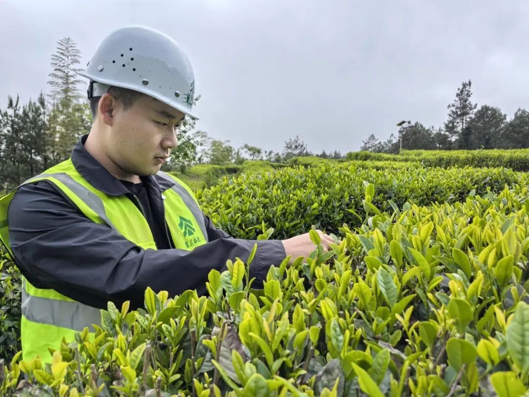 图片 1.jpg 图片 1.jpg