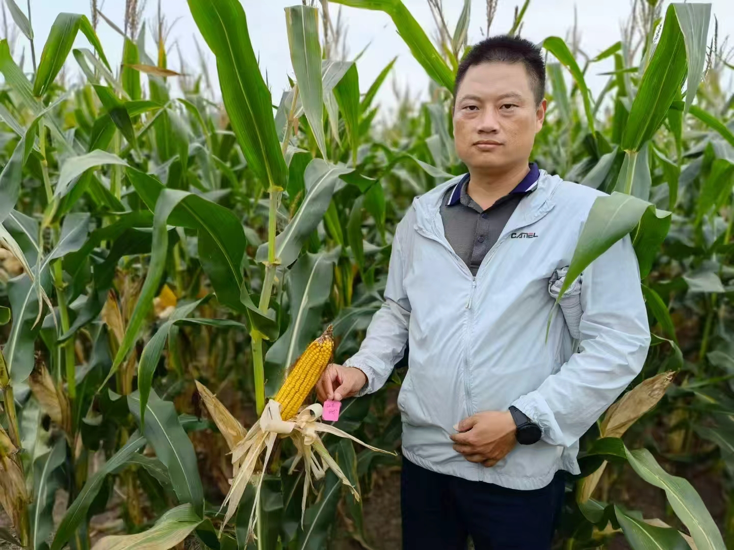 微信图片_20250813102439_2288