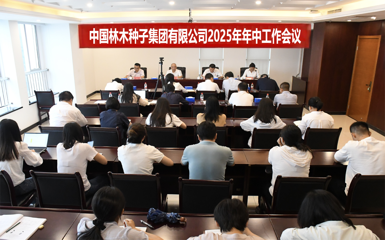 2025年年中工作会议