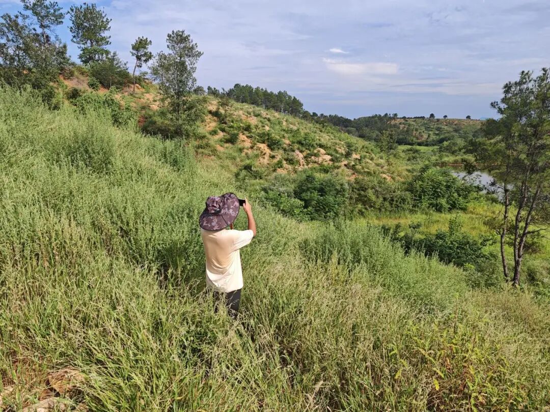 图片19.jpg 图片19.jpg