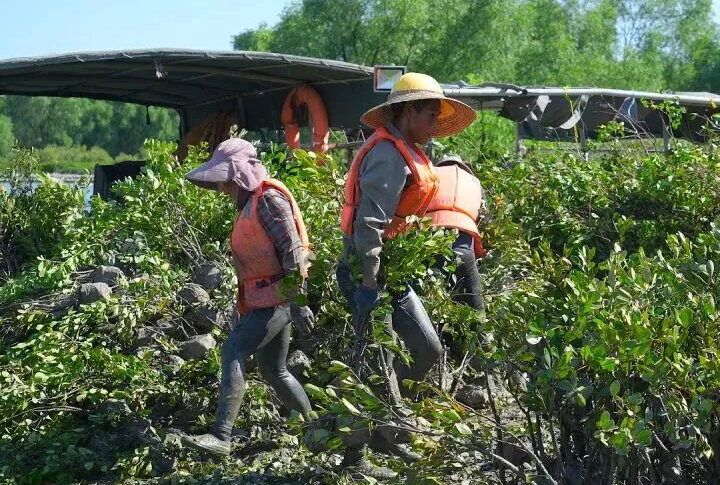 72f2d7a36b0e0d43f85bb1ac007b0cb9.png 72f2d7a36b0e0d43f85bb1ac007b0cb9.png