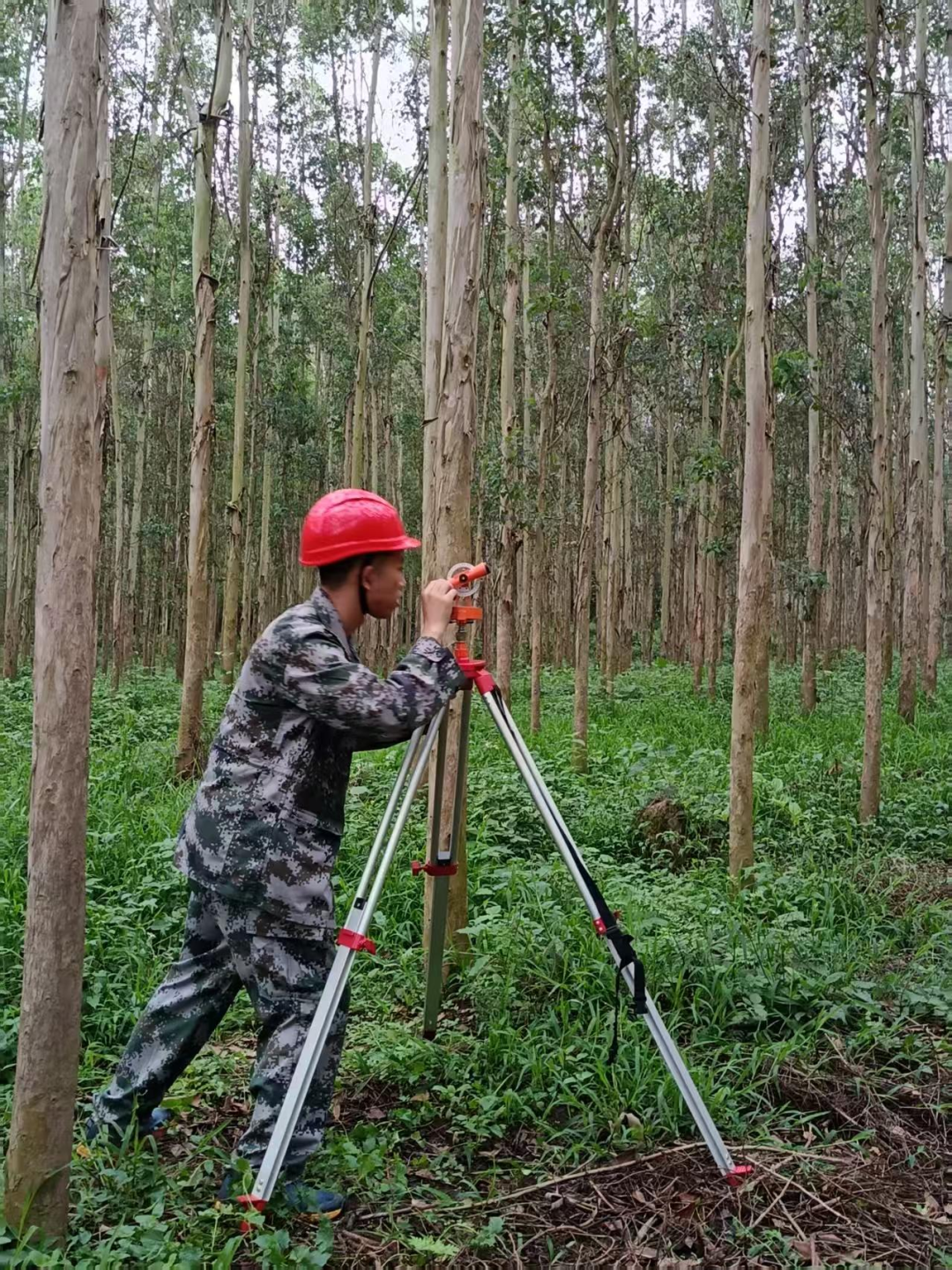 图片16.png 图片16.png