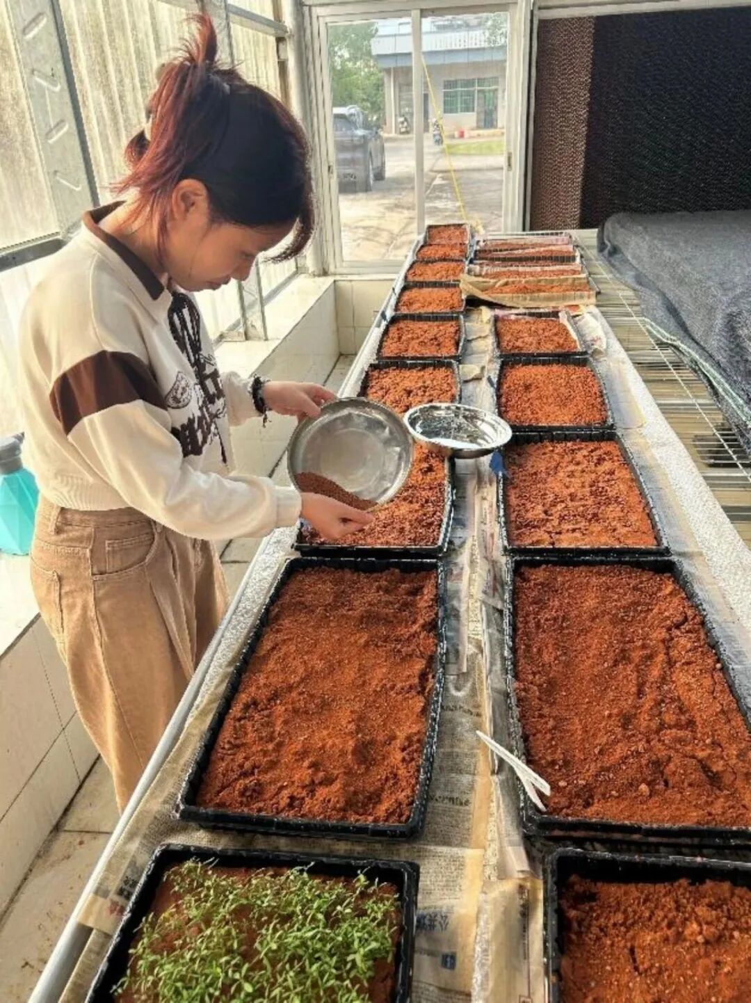 图片7.jpg 图片7.jpg