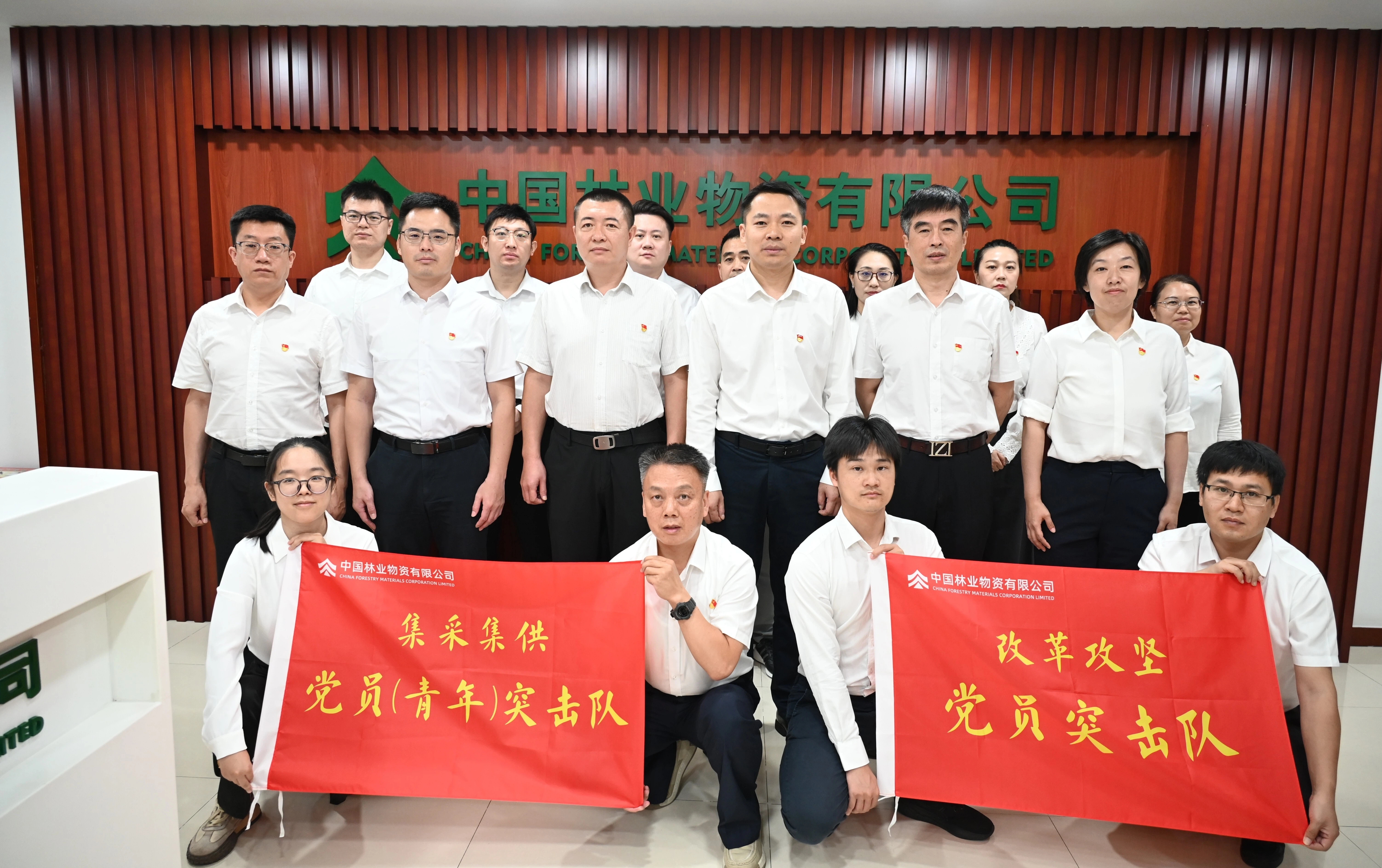 擎旗奋进 攻坚有我 | 公司党委举行改革攻坚党员突击队和集采集供党员（青年）突击队成立大会暨授旗仪式