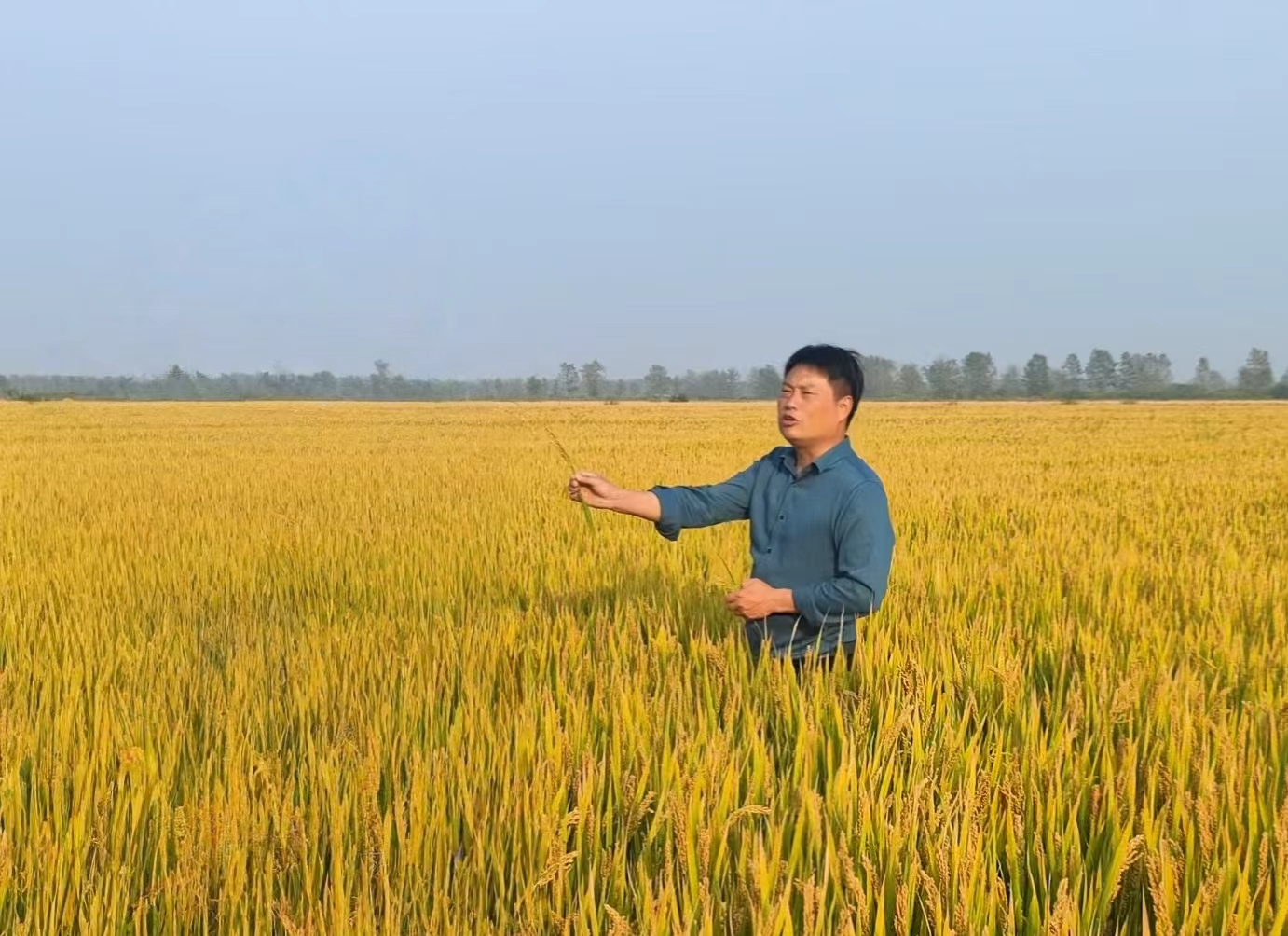 微信图片_20250813102439_2285