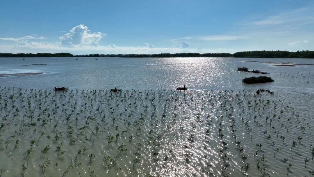 ea3fc357081ae5ef767ae959b6c71c27.jpg ea3fc357081ae5ef767ae959b6c71c27.jpg