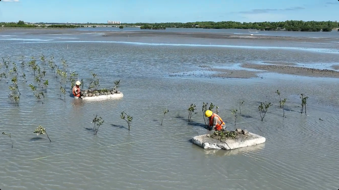 1221d79aa85b6980177db61be140ccfd.png 1221d79aa85b6980177db61be140ccfd.png