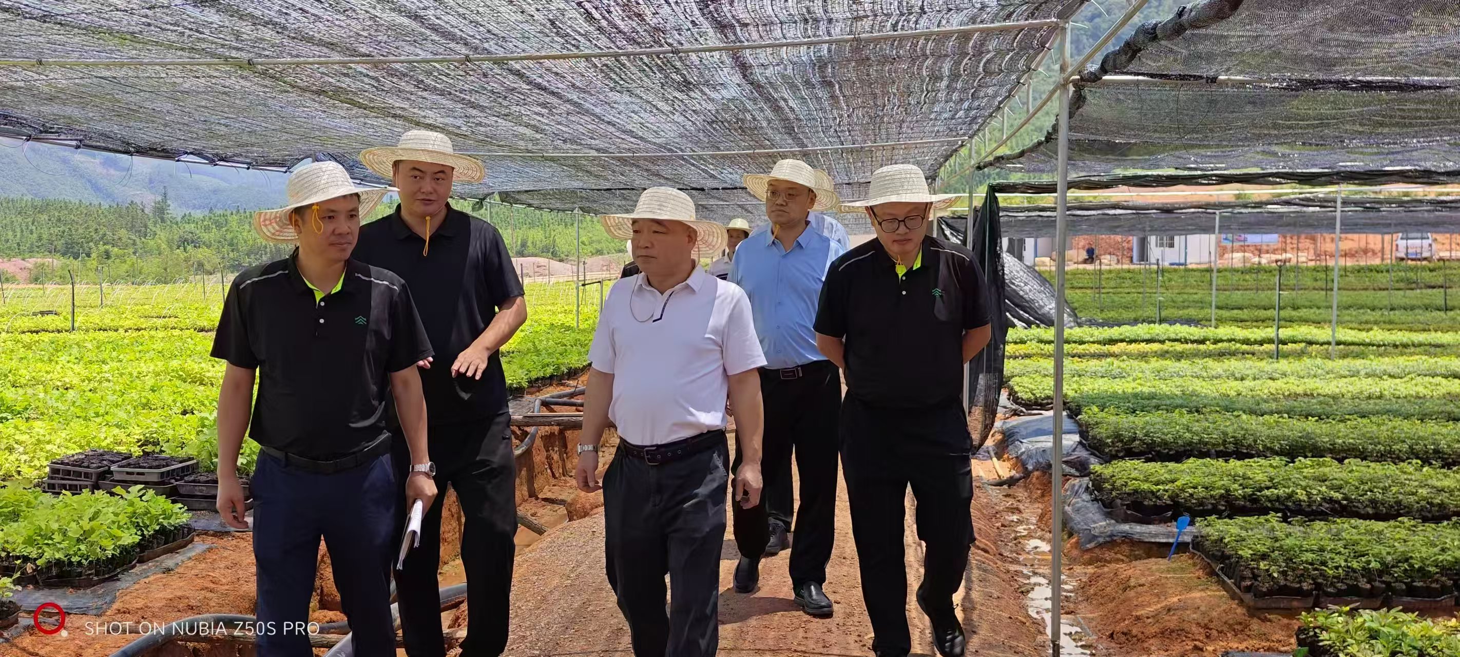 邓文泉赴三明公司开展专题调研并慰问一线干部职工