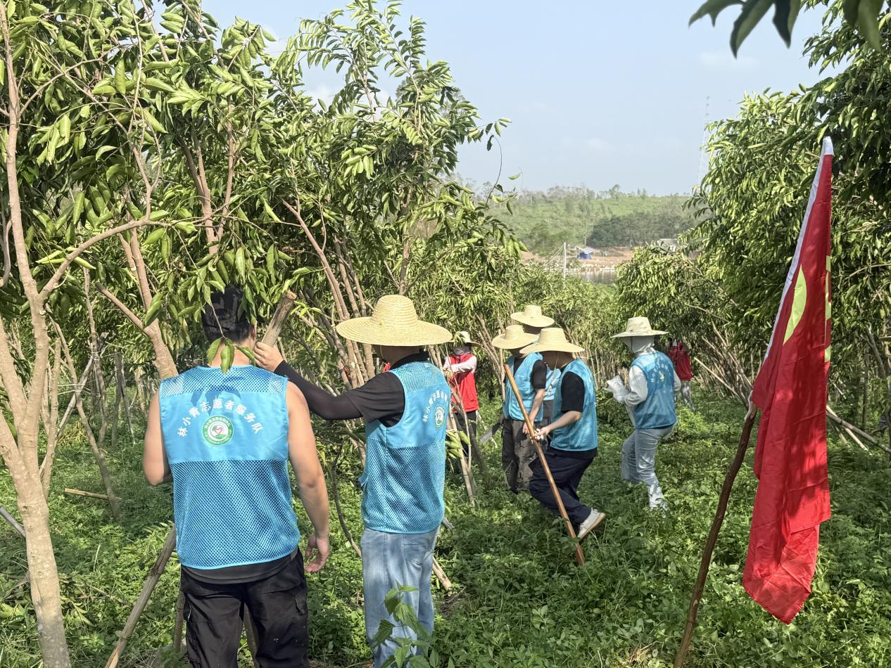 8dad0a7b8f58d5c6e6d552cd77579e4d.png 8dad0a7b8f58d5c6e6d552cd77579e4d.png