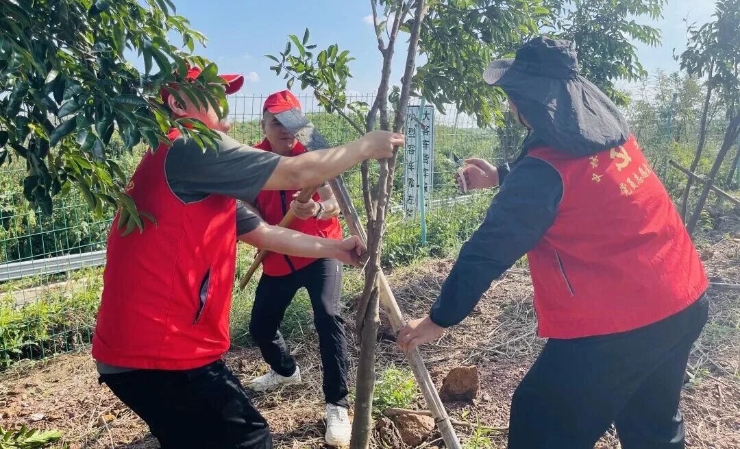 d9aa9590a9a3a408136387160c448062.jpg d9aa9590a9a3a408136387160c448062.jpg