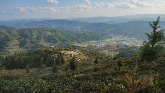 微信图片_2025-11-28_102819_936 微信图片_2025-11-28_102819_936