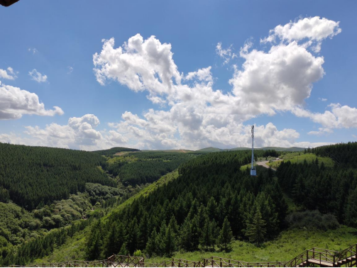 微信图片_2025-11-28_102851_419 微信图片_2025-11-28_102851_419