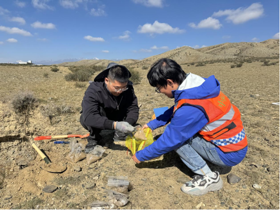 微信图片_2025-11-28_102931_495 微信图片_2025-11-28_102931_495