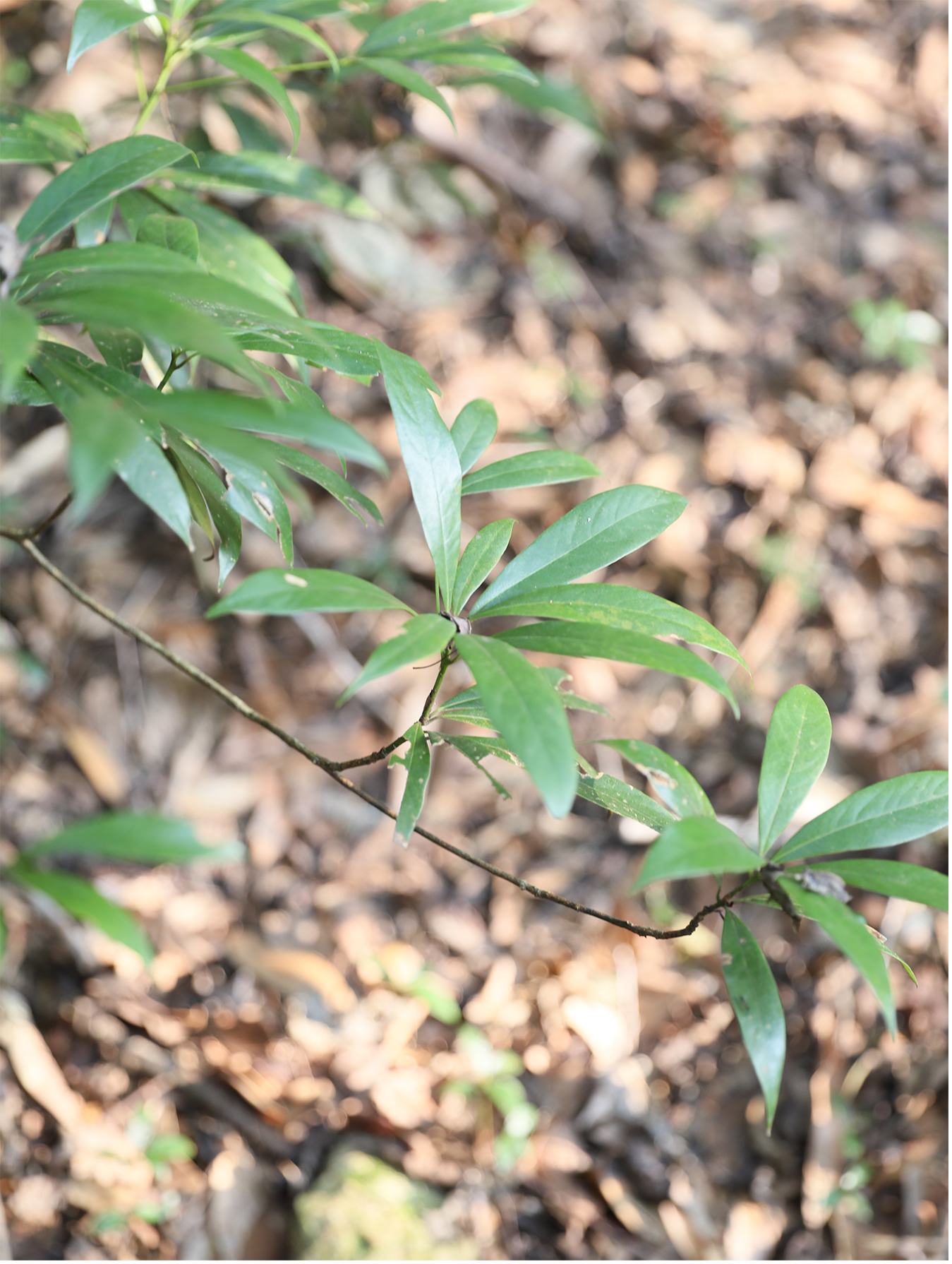 图片8@0.3x 图片8@0.3x