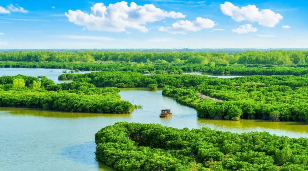 ScreenShot_2025-12-23_101756_293