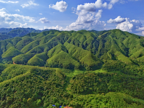 da5c1f7151562368e6317f5e1c048041.png da5c1f7151562368e6317f5e1c048041.png