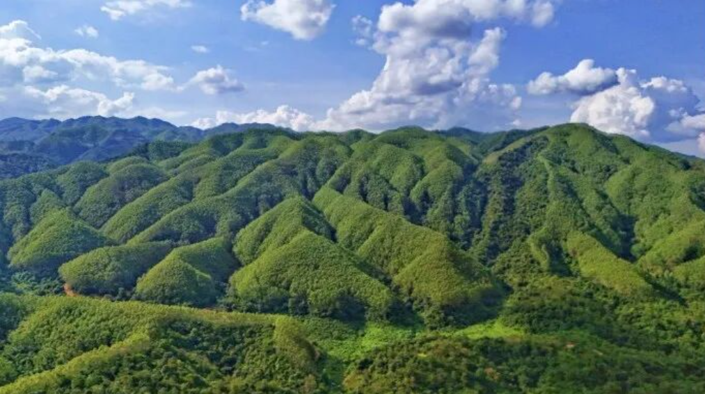 ScreenShot_2025-12-23_101314_990