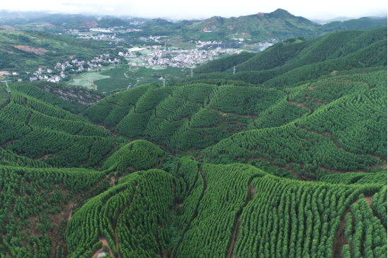 33cd41a98681bb9a0a8bb3e0b894aafc.png 33cd41a98681bb9a0a8bb3e0b894aafc.png