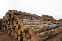 Introduction & terms