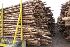 Introduction & terms