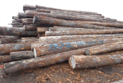 Introduction & terms